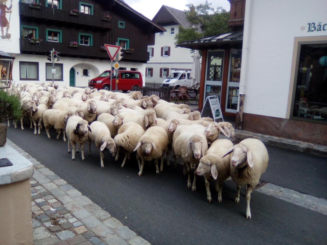 Landgasthof Kirchmayer Farchant Exterior foto